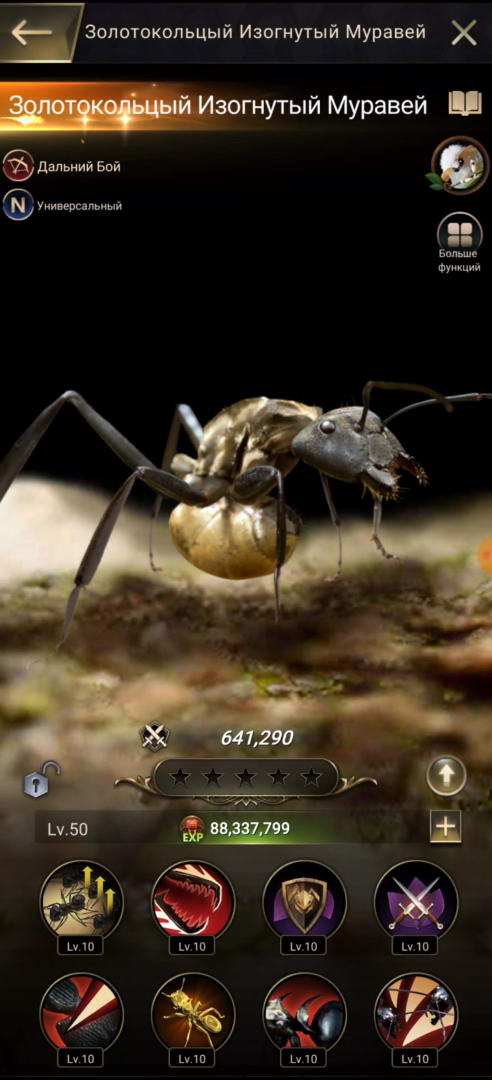 Золотокольцый изогнутый муравей