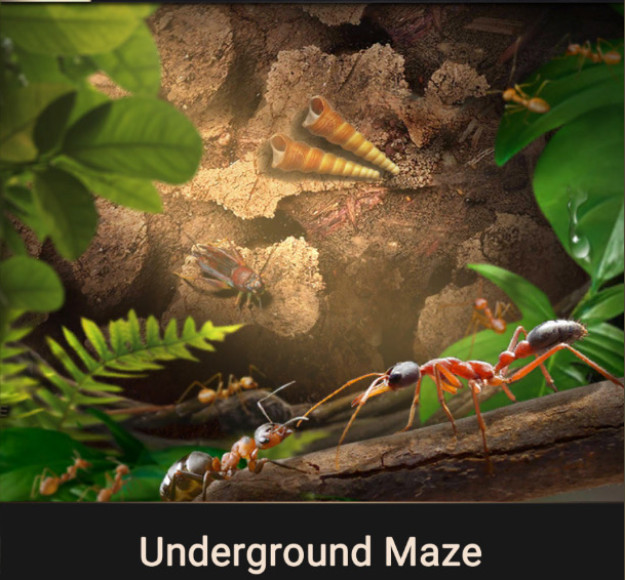 underground maze